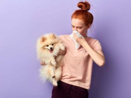 Как ухаживать за питомцами, чтобы дома не чувствовался их запах