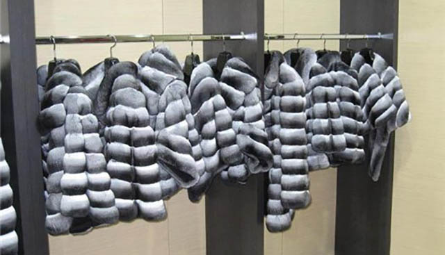 Шубы из шиншиллы. Все о шиншиллах Шубы из шиншиллы. Все о шиншиллах