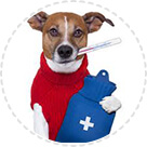 Іграшки Антистрес