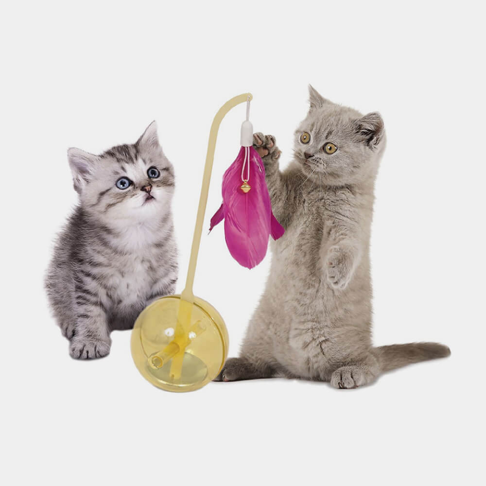 Royal Canin Exigent Cats