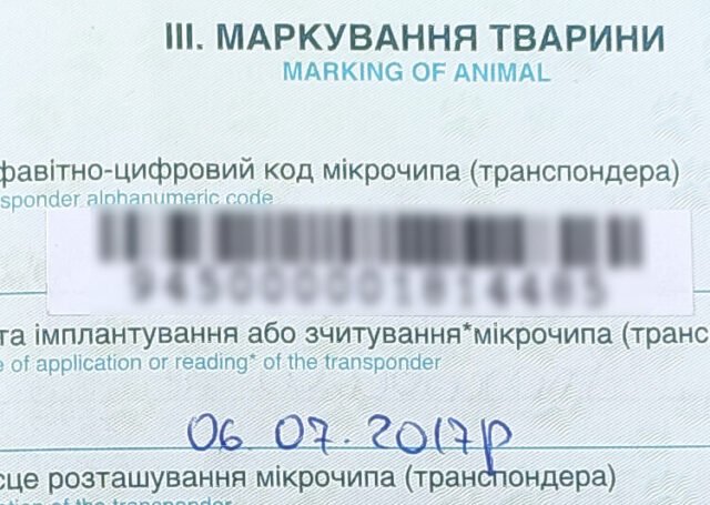 Как вывезти собаку за границу из Украины - чипирование Как вывезти собаку за границу из Украины - чипирование